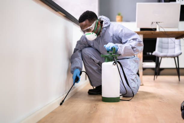 Emergency Pest Control in Davison, MI